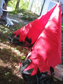 Dienstag_IMG_0889