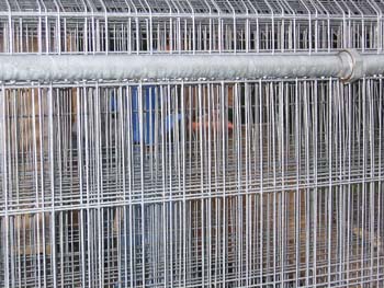 Freitag_IMG_0821