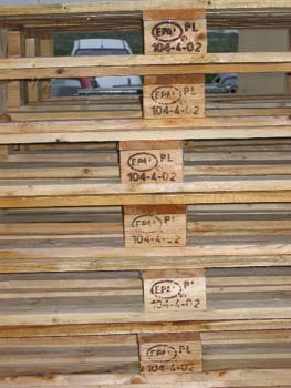 Freitag_IMG_0825