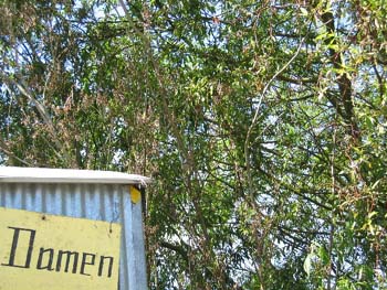 Mittwoch_IMG_0912