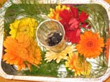 IMG_0948