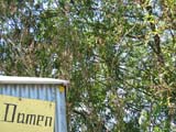Mittwoch_IMG_0912