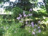 Montag_IMG_0865